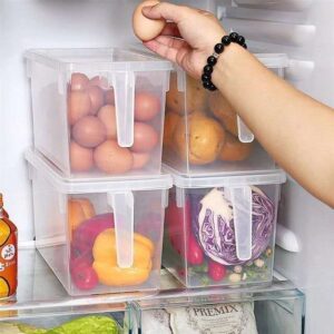Handle storage bins refrigerator